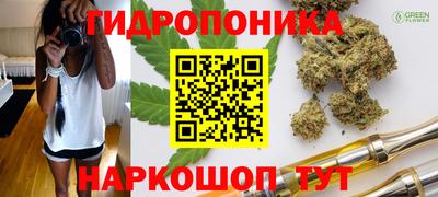 PSILOCYBIN Кулебаки