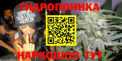 PSILOCYBIN Кулебаки