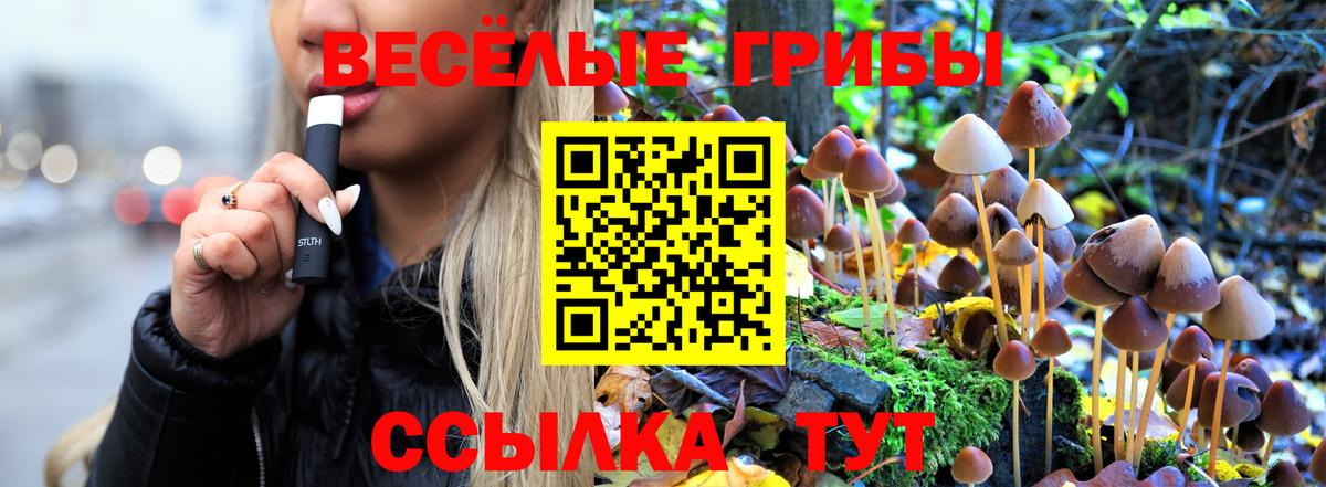 даркнет сайт  Вход с VPN  Йошкар-Ола  Галлюциногенные грибы мухоморы 