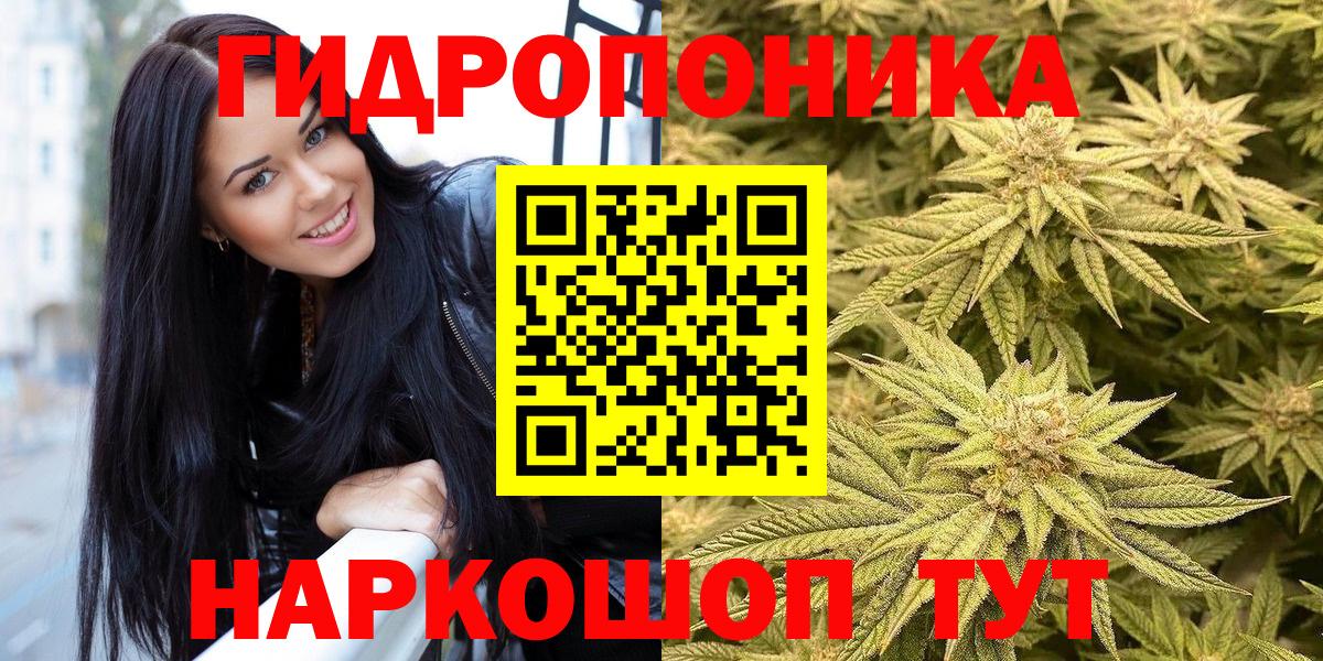 APVP Йошкар-Ола